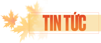 Tin tức