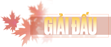 Giải đấu