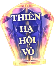 Thiên Hạ Hội Võ