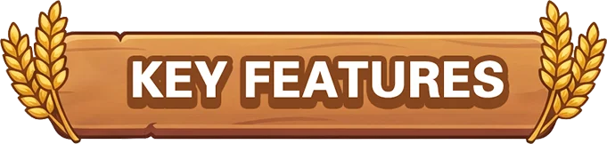 KEY FEATURES
